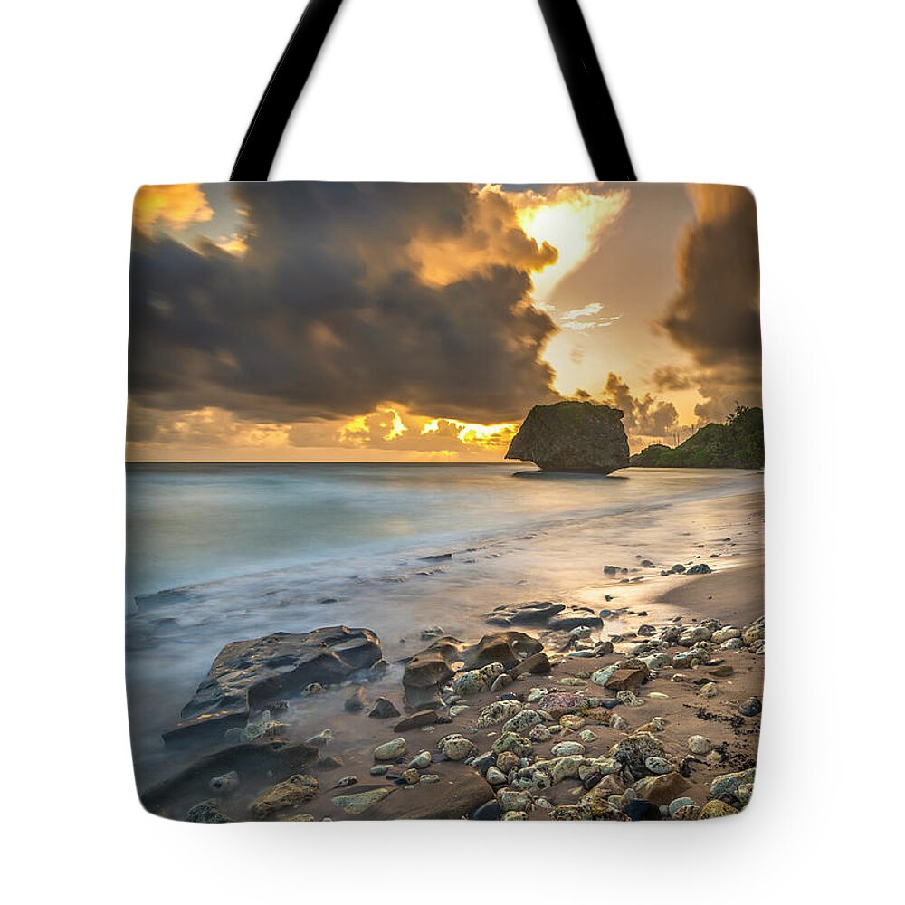  Tote Bag featuring the photograph Early by Hugh Walker