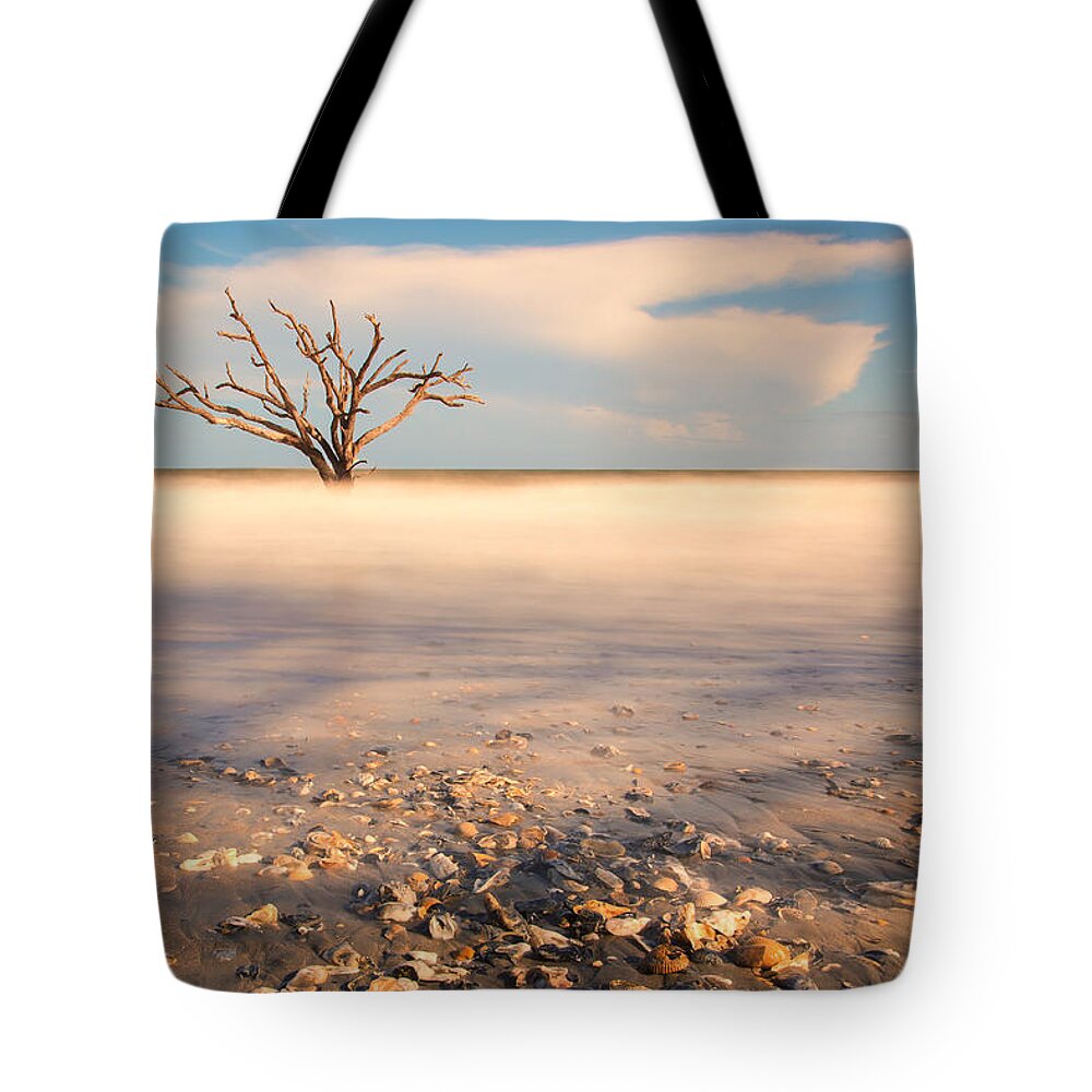 South Carolina Tote Bag featuring the photograph Early morning at Botany Bay beach by Stefan Mazzola