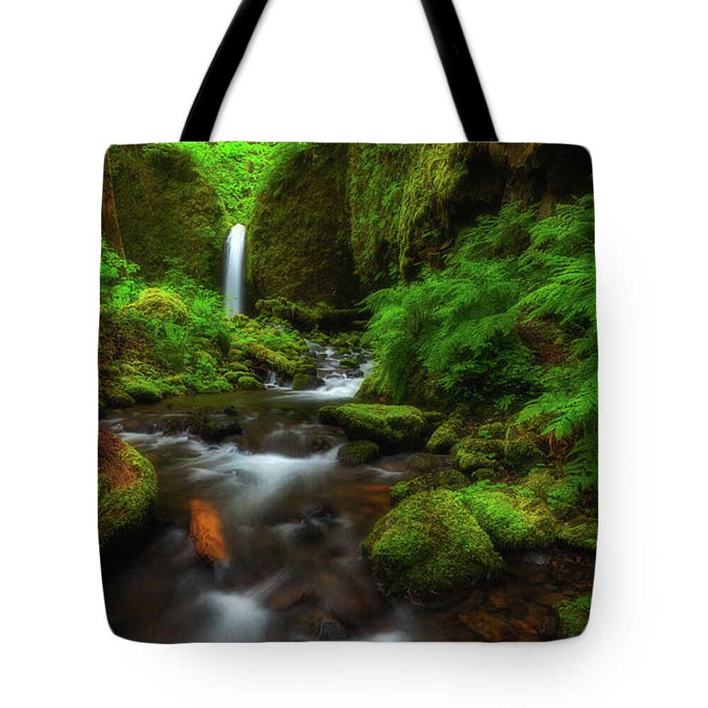 Oregon Tote Bag featuring the photograph Early Morning at the Grotto by Darren White