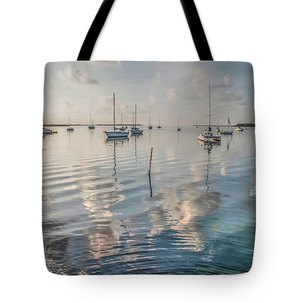 Florida Tote Bag featuring the photograph Early Morning Calm by Geraldine Alexander