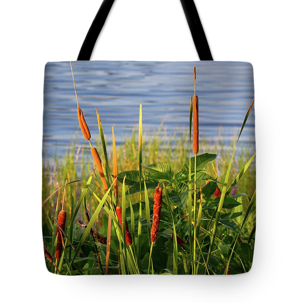 Nature Tote Bag featuring the photograph Early Morning Cattails by Arthur Dodd