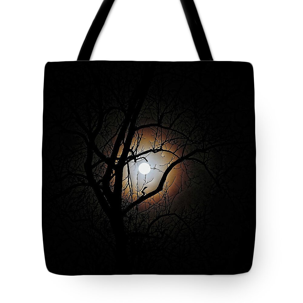 Full Moon Tote Bag featuring the photograph Early morning full moon by Ronda Ryan