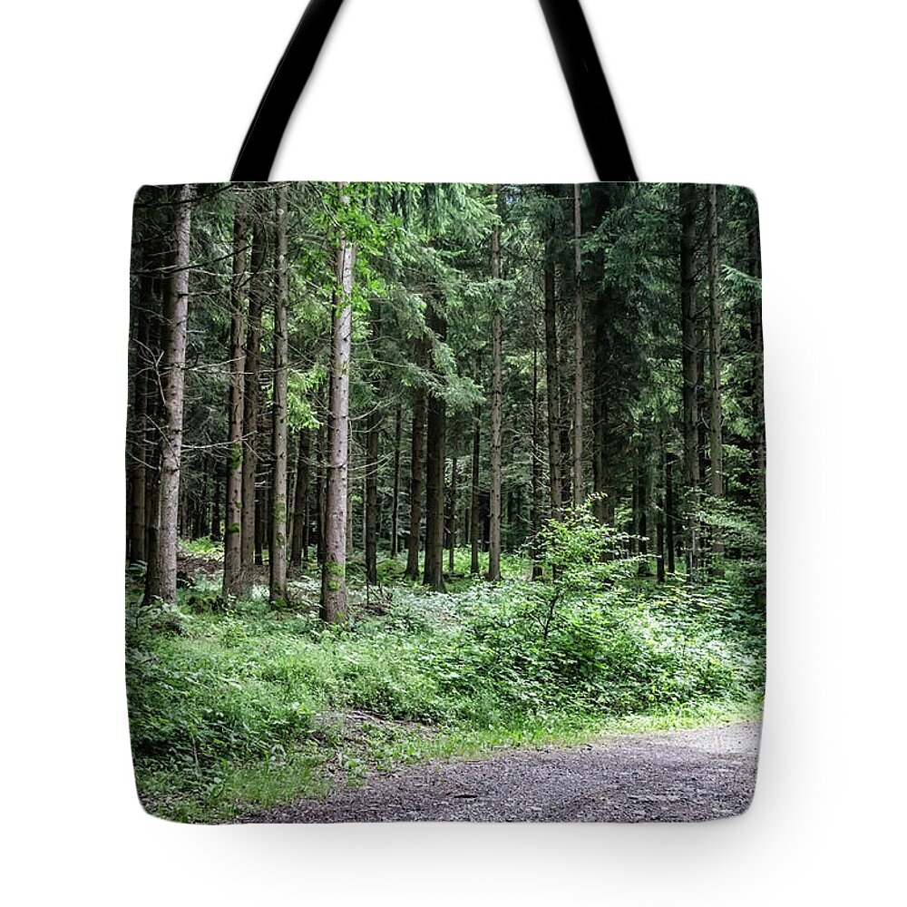 Michelle Meenawong Tote Bag featuring the photograph Early Morning In The Woods by Michelle Meenawong
