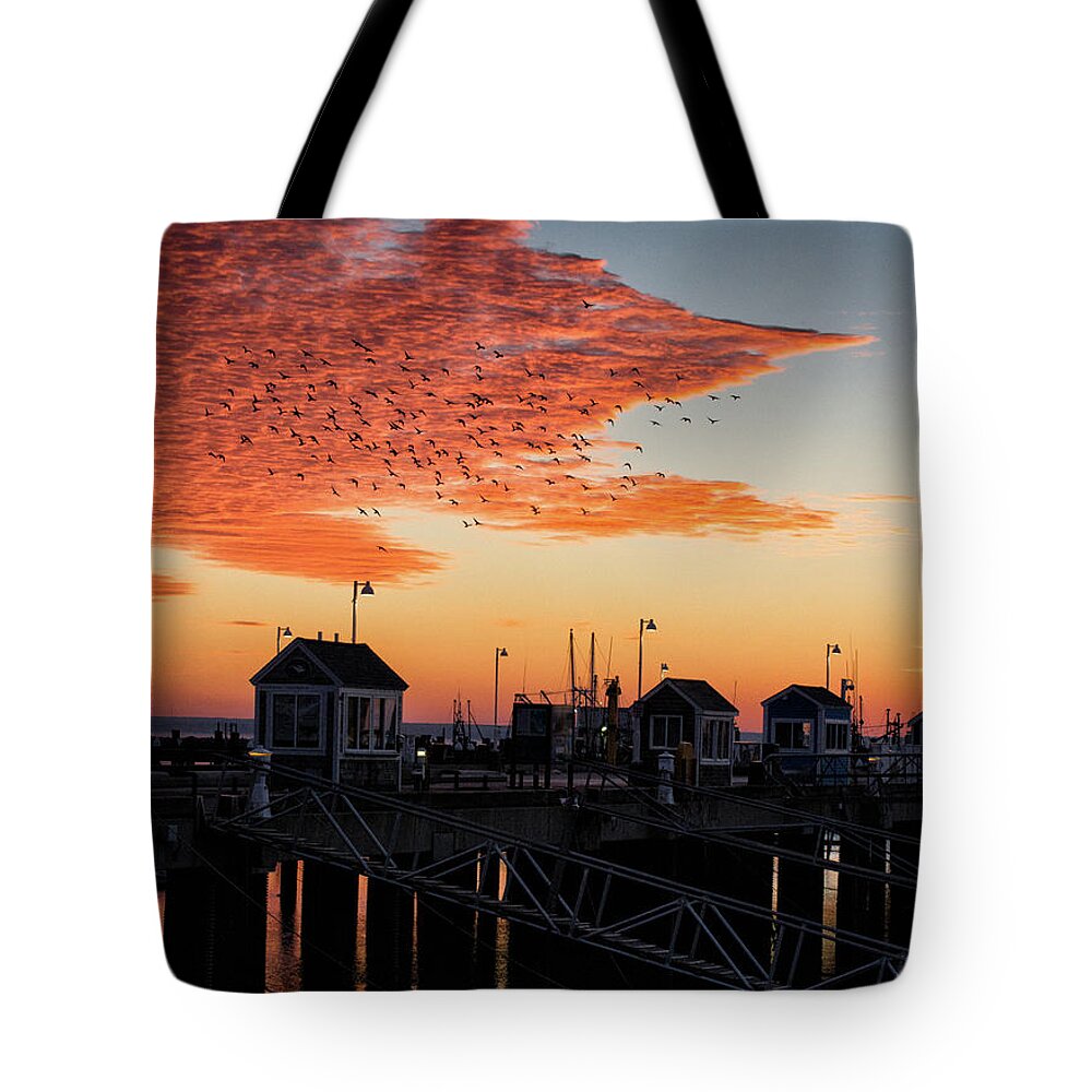 Provincetown Tote Bag featuring the photograph Early Orange by Ellen Koplow