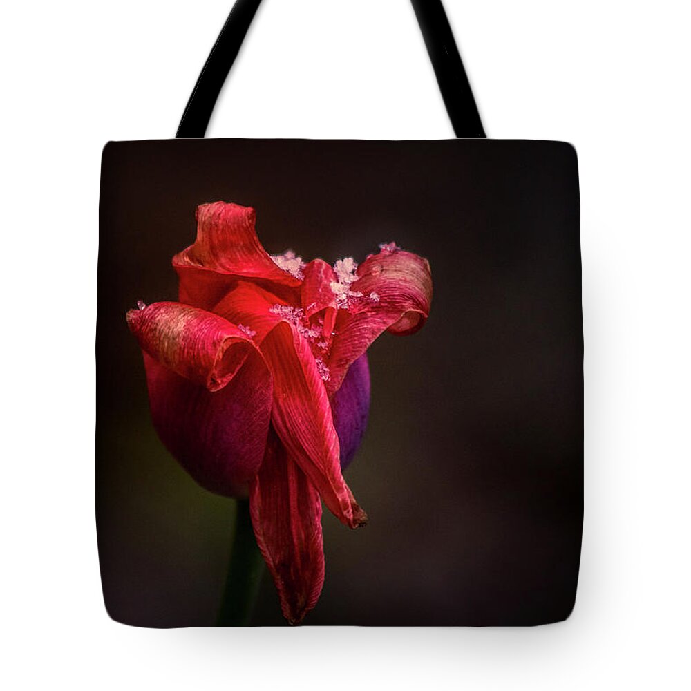 Red Tote Bag featuring the photograph Early Spring by Allin Sorenson