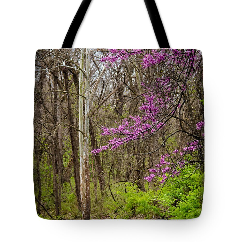 Nature Tote Bag featuring the photograph Early Spring on Mill Creek by Jeff Phillippi