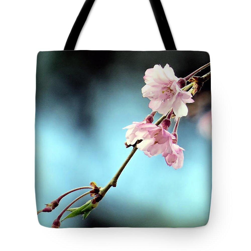 Weeping Cherry Blossoms Tote Bag featuring the photograph Early Spring Weeping Cherry by Janice Drew