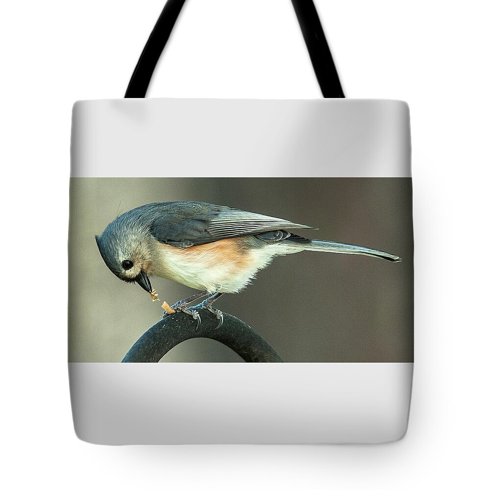 Alexandria Tote Bag featuring the photograph Early Titmouse Gets the Worm by Jim Moore