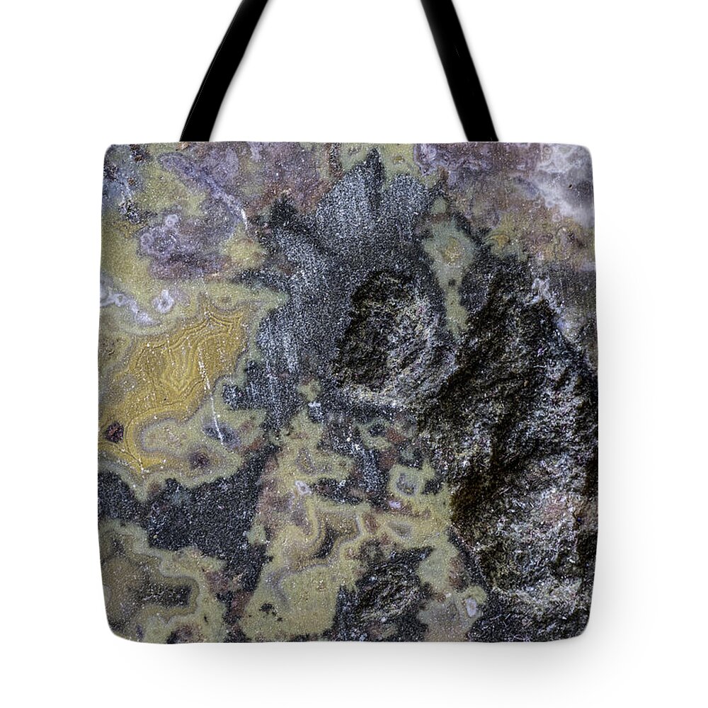Macro Photography Tote Bag featuring the photograph Earth Portrait 001-168 by David Waldrop