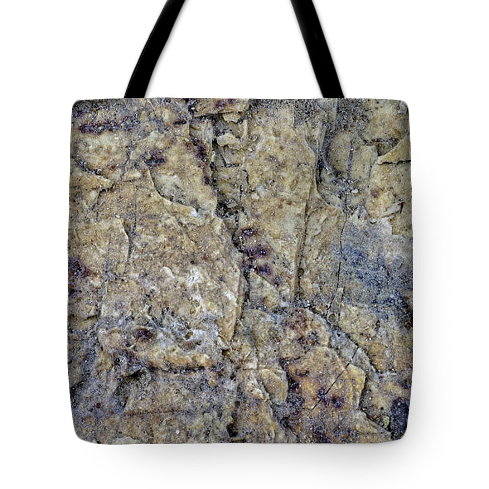 Macro Tote Bag featuring the photograph Earth Portrait L1 by David Waldrop