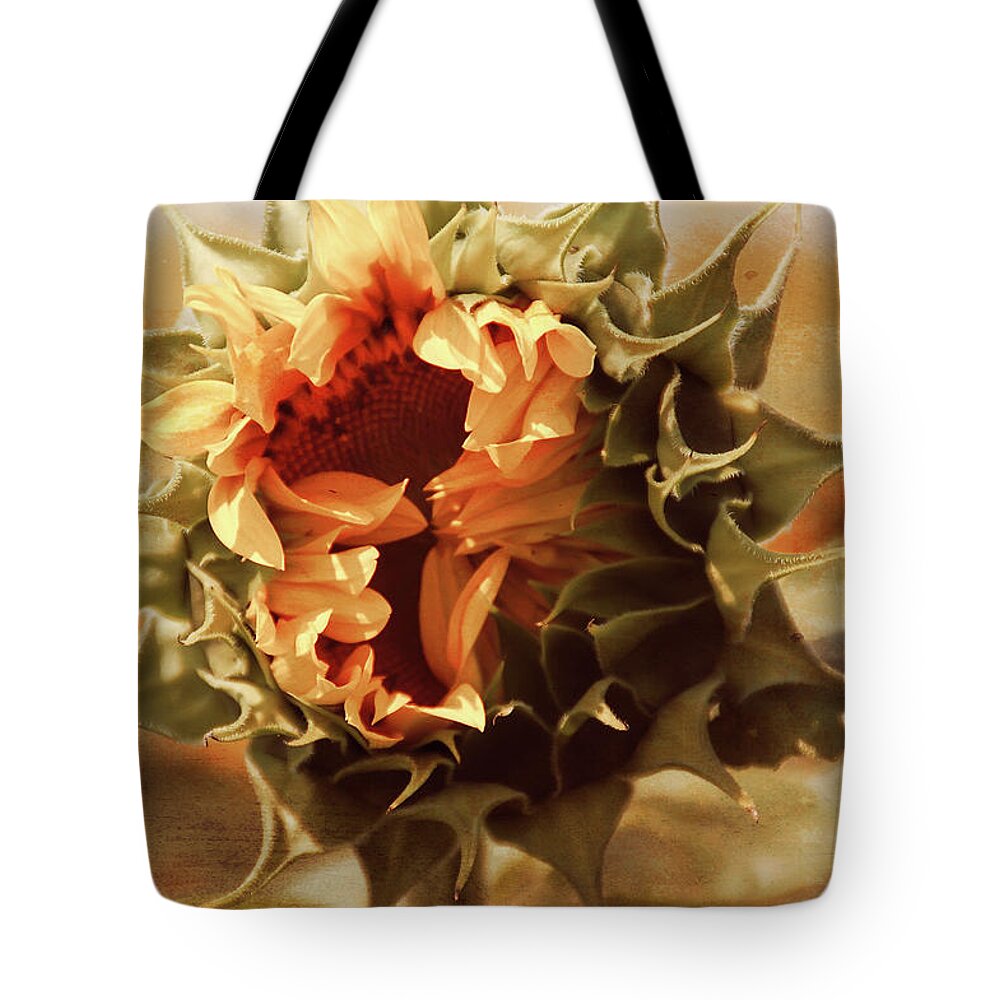 Flower Tote Bag featuring the photograph Earth Tone Elegant Sunflower by Aimee L Maher ALM GALLERY