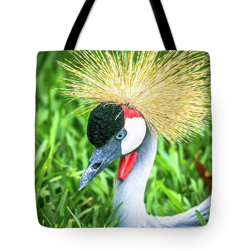 East African Crowned Crane Tote Bag featuring the photograph East African Crowned Crane by Rene Triay FineArt Photos