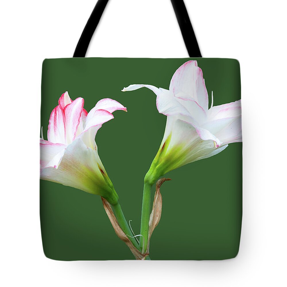 Spring Lilies Tote Bag featuring the photograph Easter Lilies by Ram Vasudev