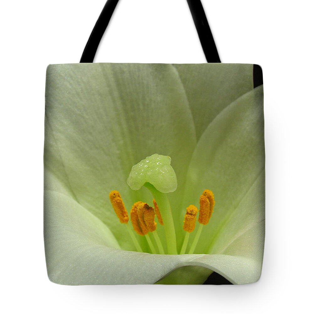 Lily Tote Bag featuring the photograph Easter Lily Floral by Juergen Roth