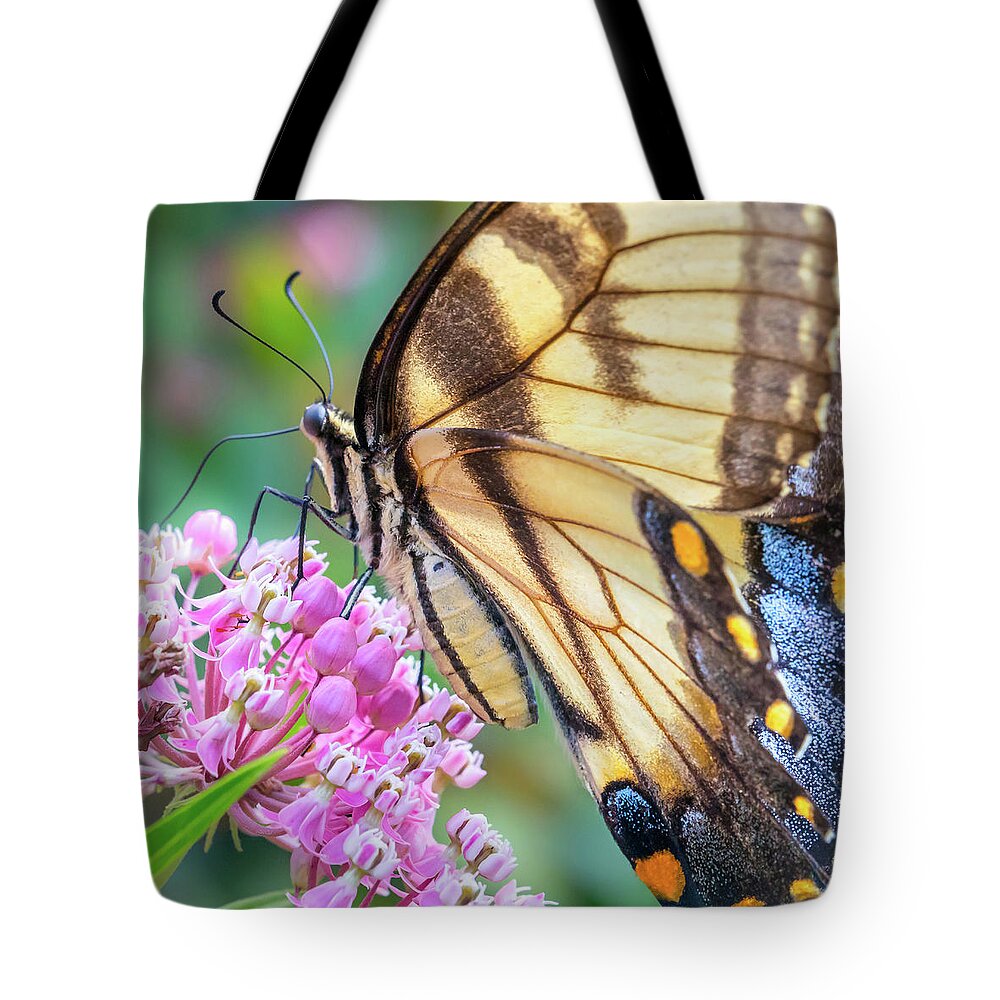 Asclepias Incarnata Tote Bag featuring the photograph Easter Tiger Swallowtail butterfly by Jim Hughes