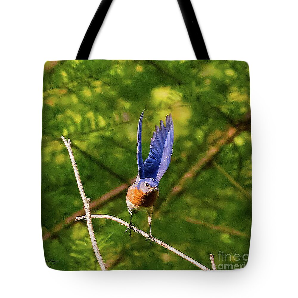 Bluebird Tote Bag featuring the photograph Eastern Bluebird - Lift Off by DB Hayes