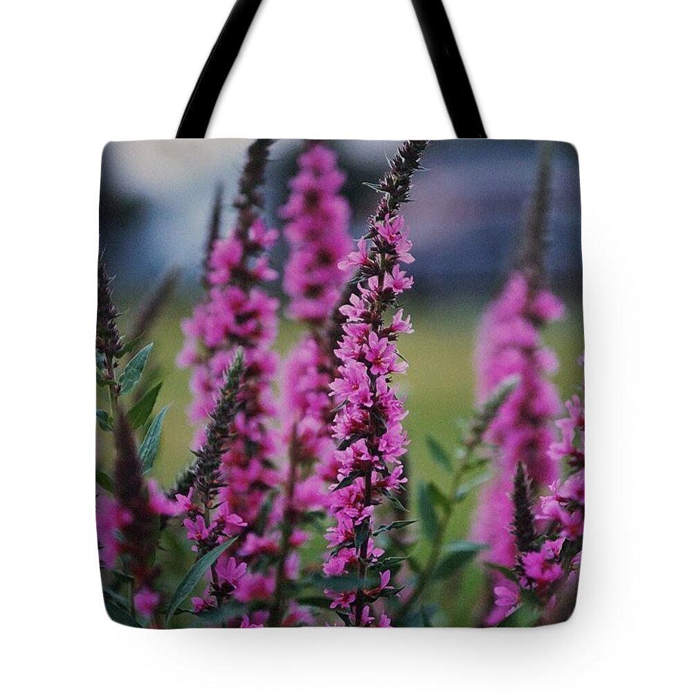 Floral Tote Bag featuring the photograph Eastern Gay Feather by Tracey Vivar