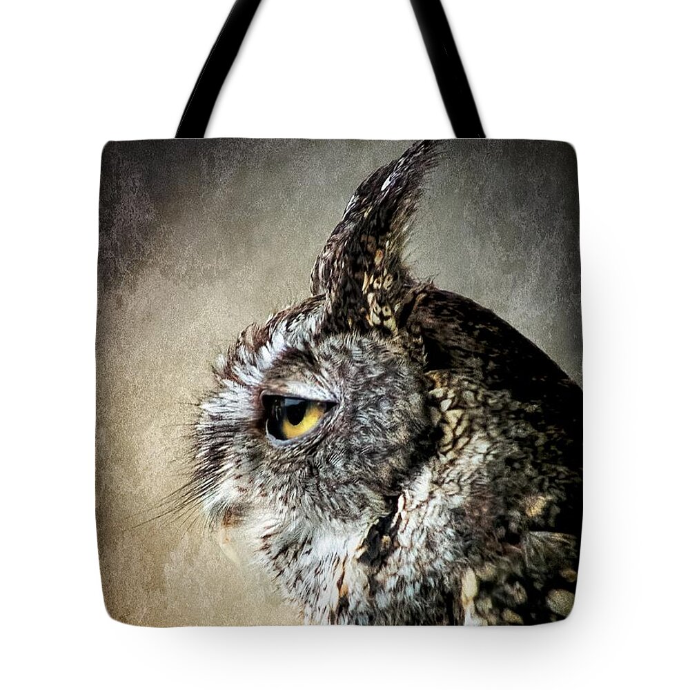 Screech Owl Tote Bag featuring the photograph Eastern Gray Morph Screech Owl Profile by Melissa Bittinger