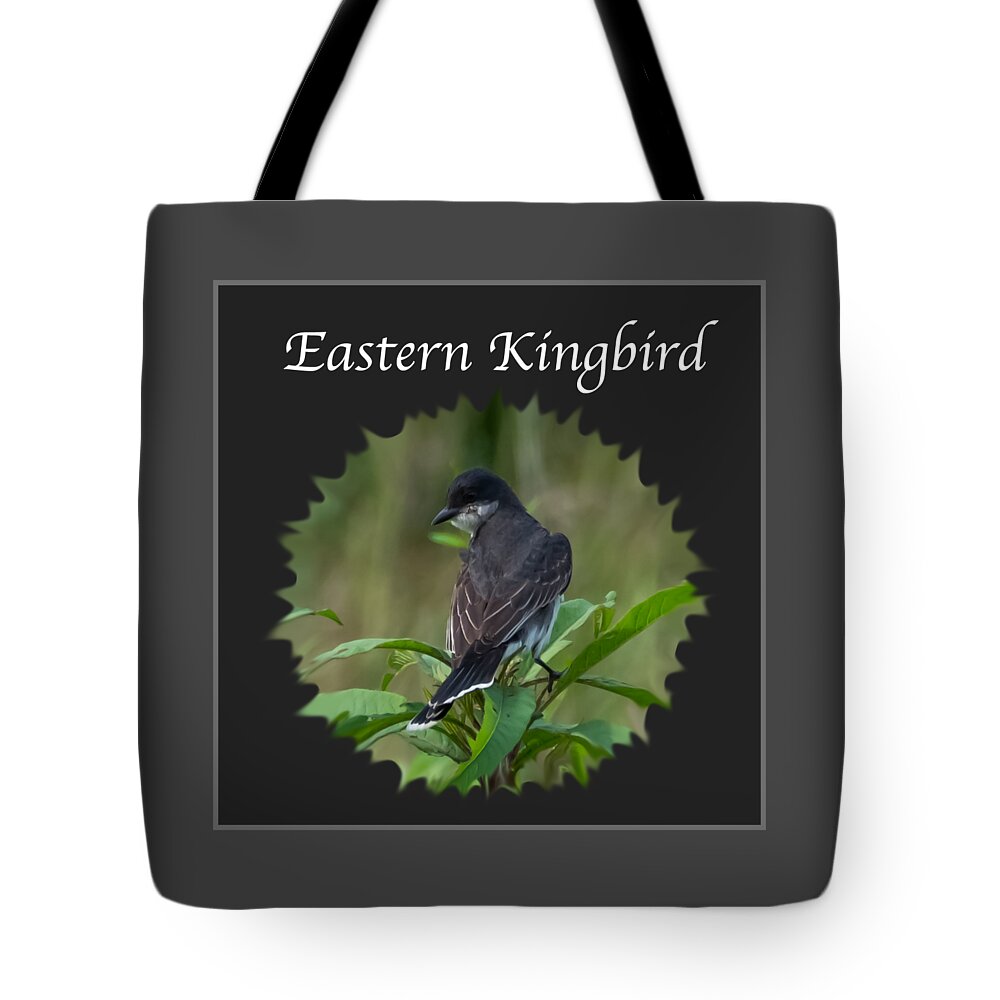 Eastern Kingbird Tote Bag featuring the photograph Eastern Kingbird by Holden The Moment