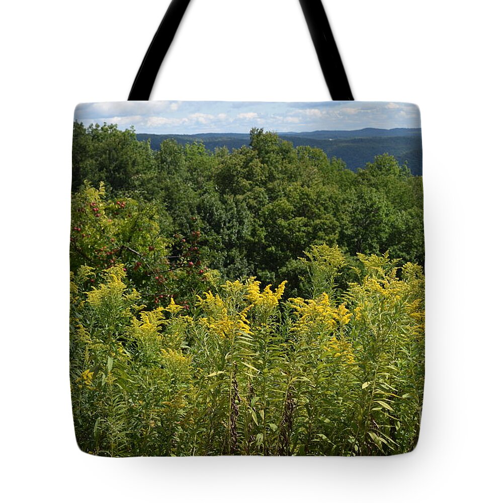 Sky Tote Bag featuring the digital art Eastern Summit 5 by Barrie Stark