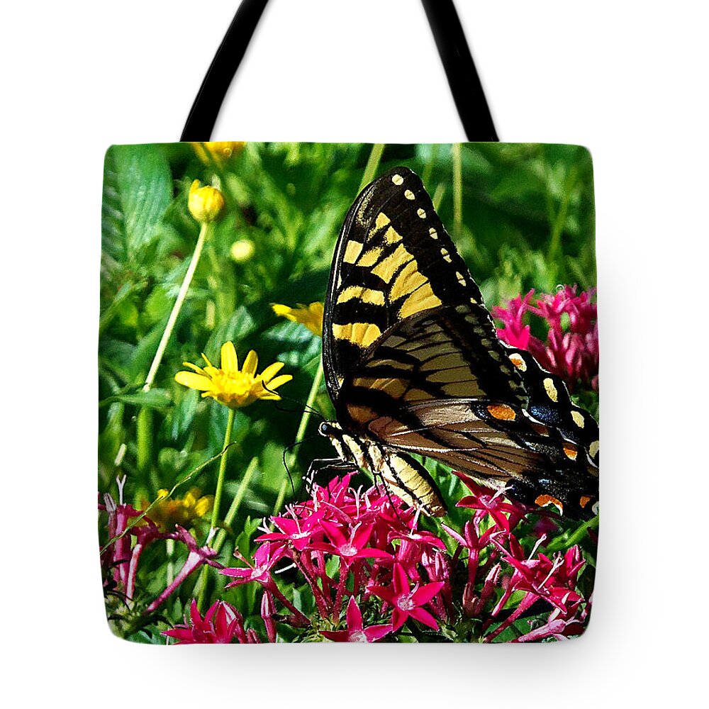 Butterfly Tote Bag featuring the photograph Eastern Tiger Swallowtail 001 by Christopher Mercer