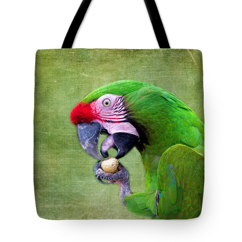 Macaw Tote Bag featuring the photograph Eating a Peanut by Lynn Bolt