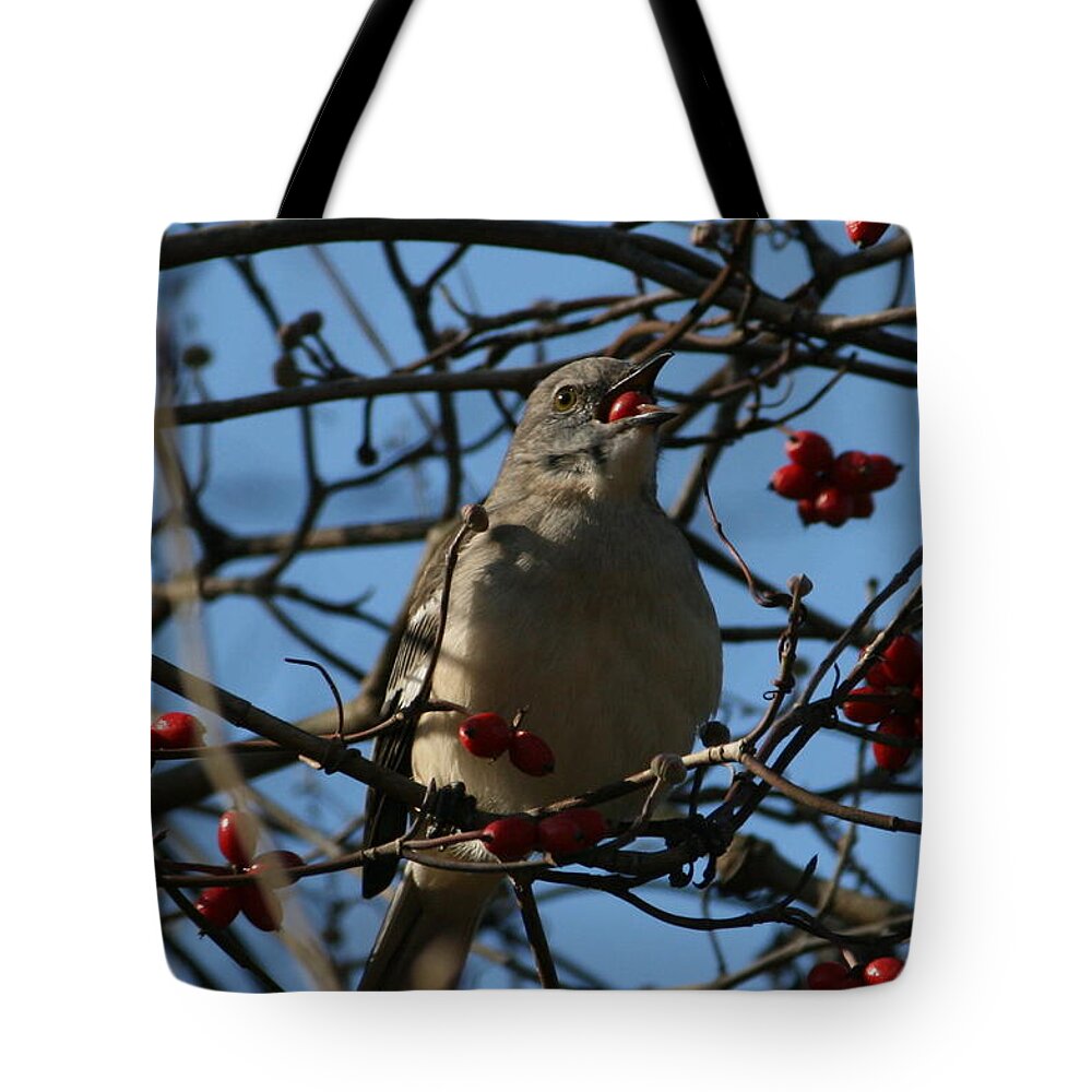 Berry Tote Bag featuring the photograph Eating Berries by Cathy Harper