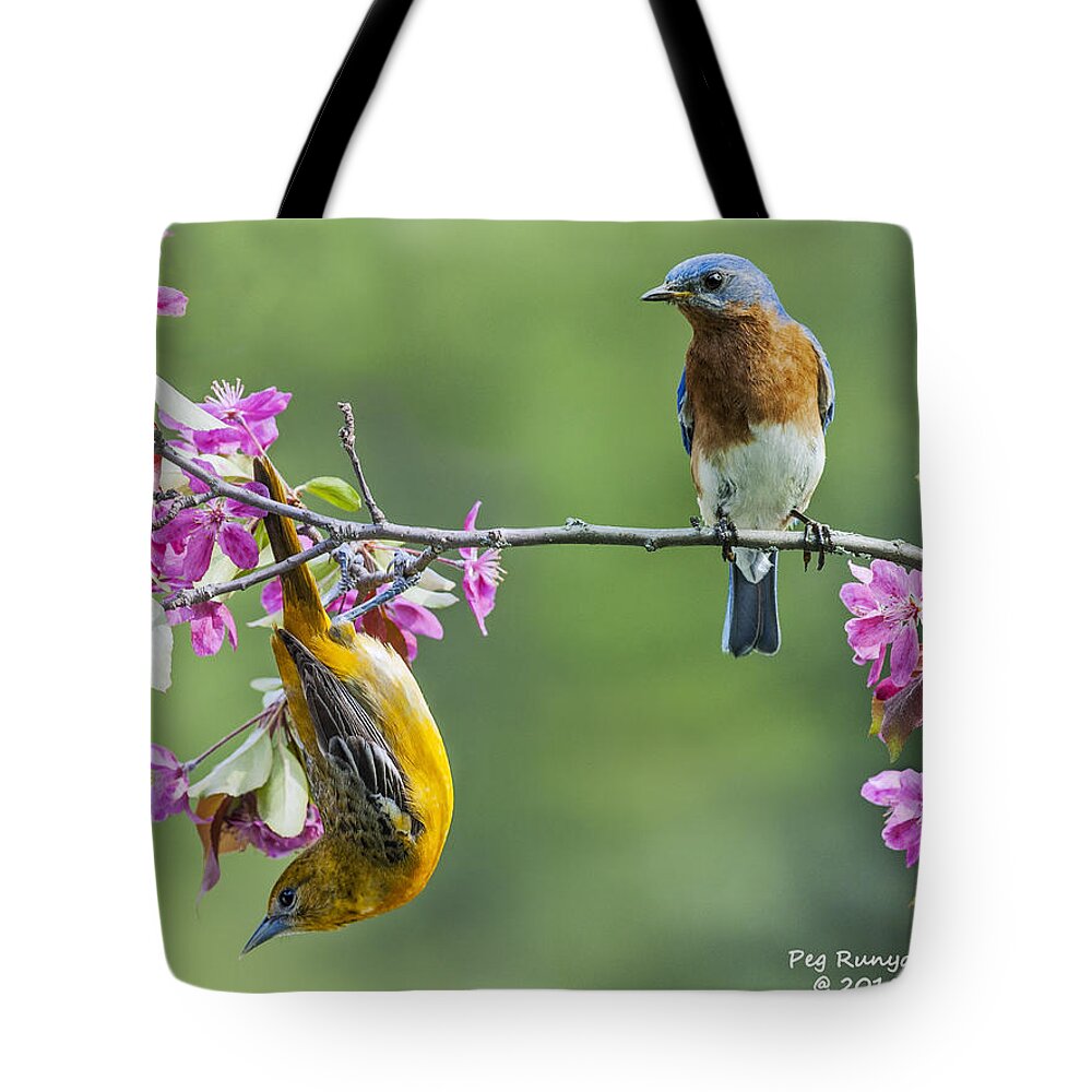 Blue Bird Tote Bag featuring the photograph Eating Fermented Berries Again? by Peg Runyan
