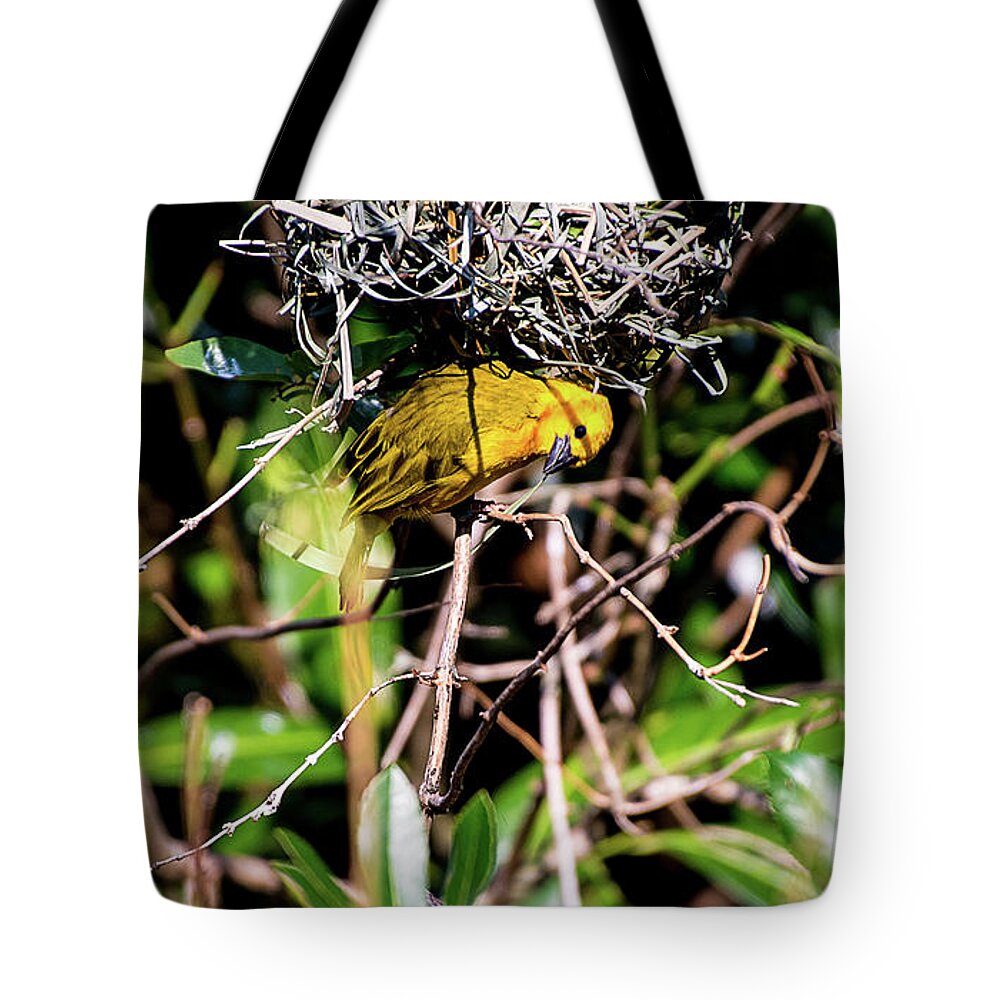 Nature Tote Bag featuring the photograph Eavesdropping by Deborah Klubertanz