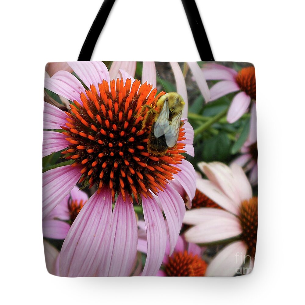 Echinacea Purpura Tote Bag featuring the photograph Echinacea Tea Time For Bee by Kristin Aquariann