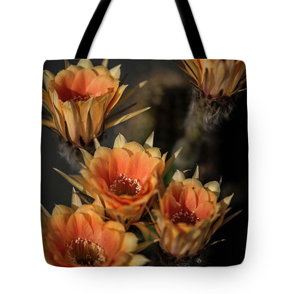 Echinopsis Tote Bag featuring the photograph Echinopsis by Karen Slagle