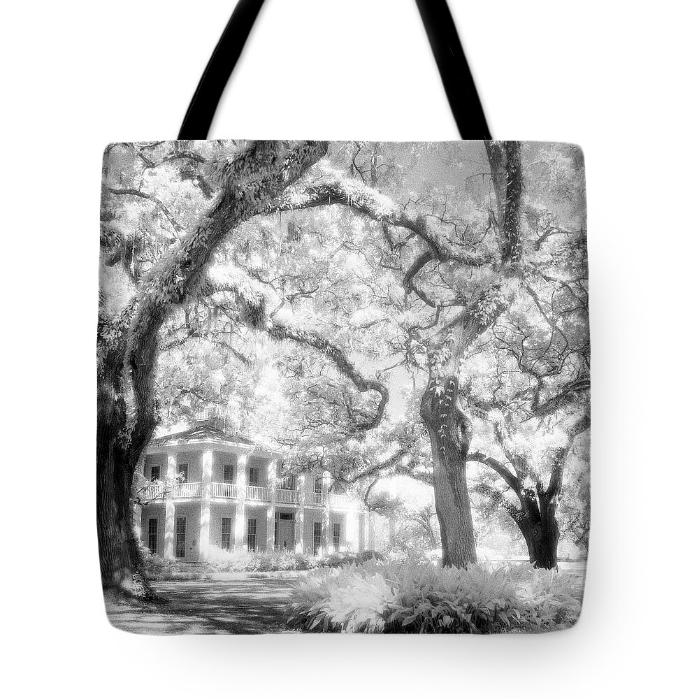Black And White Photograph Tote Bag featuring the photograph Eden Plantation A Florida State Park by John Harmon