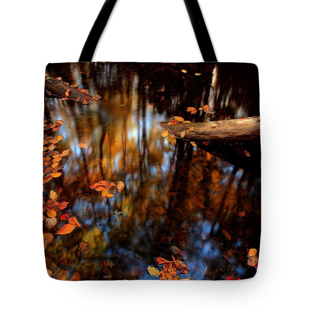River Scene Tote Bag featuring the photograph Edge Of Wishes by Mike Eingle