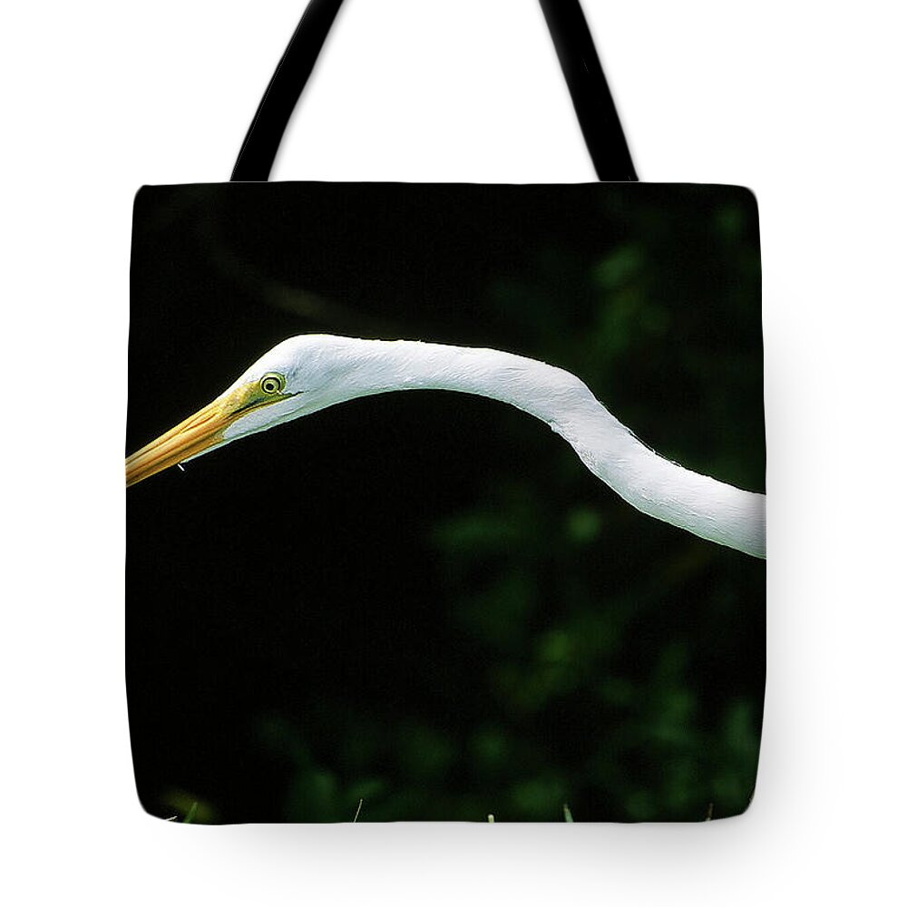 Egret Tote Bag featuring the photograph Egret 1 by Ted Keller