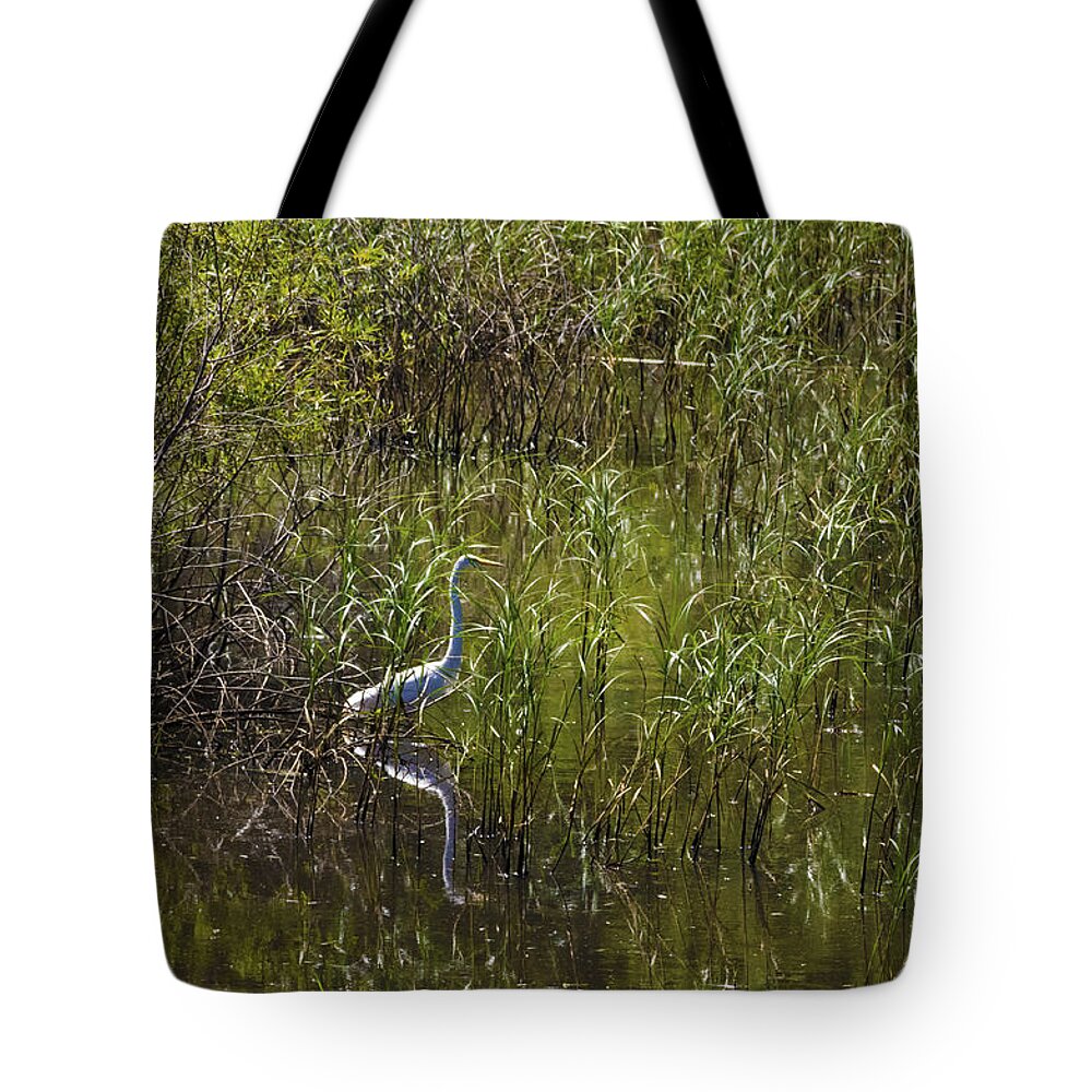 Heron Tote Bag featuring the photograph Egret Hunting in Reeds by Lynn Hansen