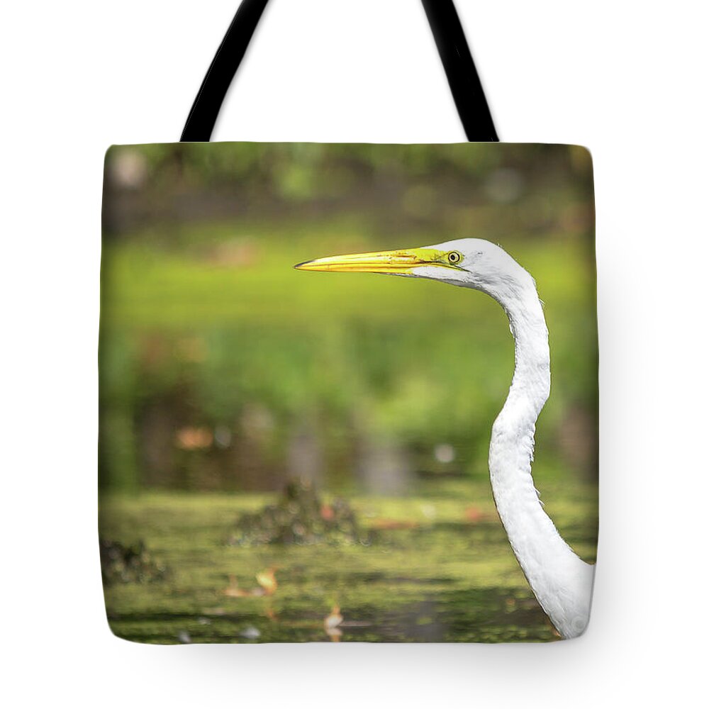 Cheryl Baxter Photography Tote Bag featuring the photograph Egret Profile by Cheryl Baxter