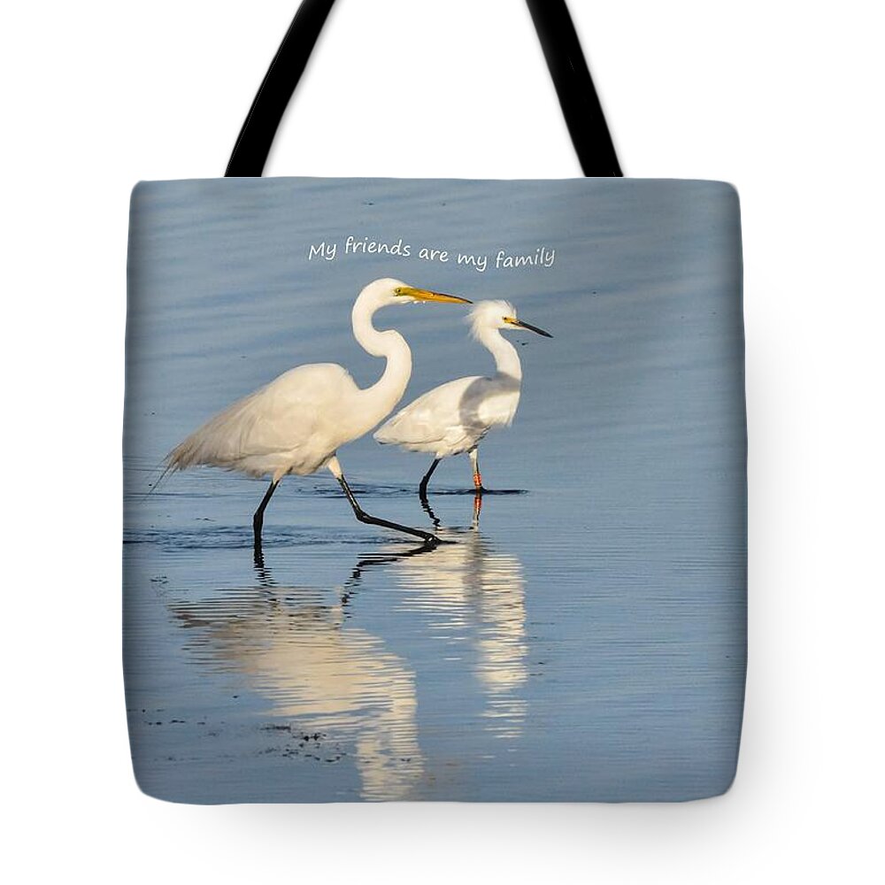  Tote Bag featuring the photograph Egrets say My Friends are My Family by Sherry Clark