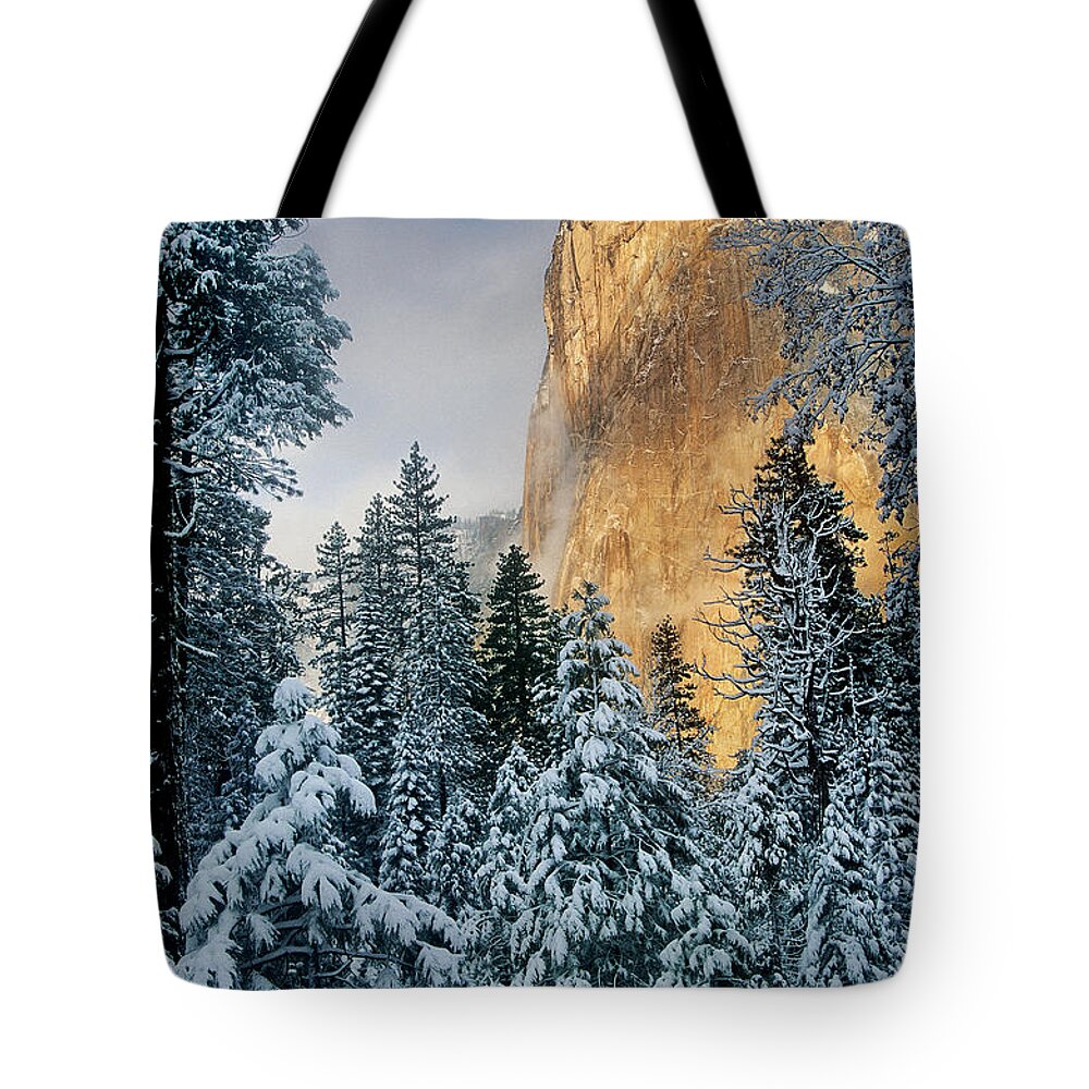 North America Tote Bag featuring the photograph El Capitan on a Winter Morning Yosemite National Park California by Dave Welling