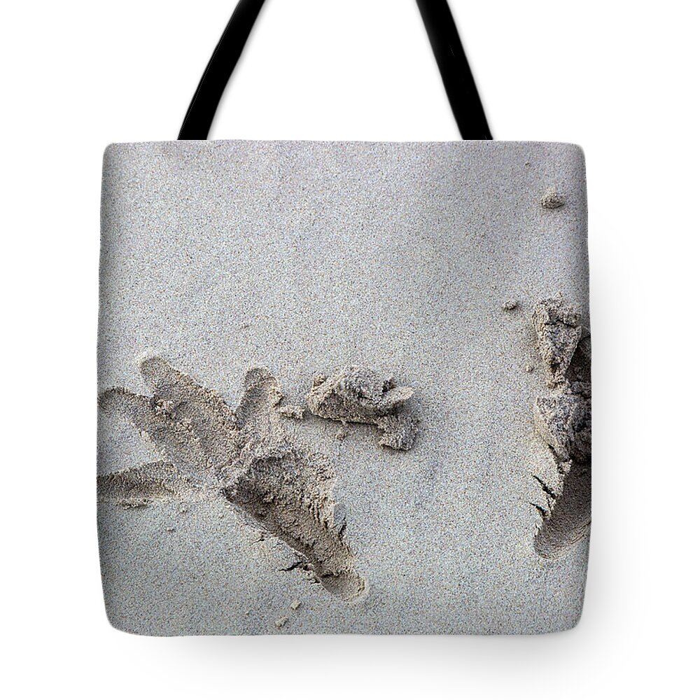Beach Tote Bag featuring the photograph El Condor Pasa by Kathy McClure