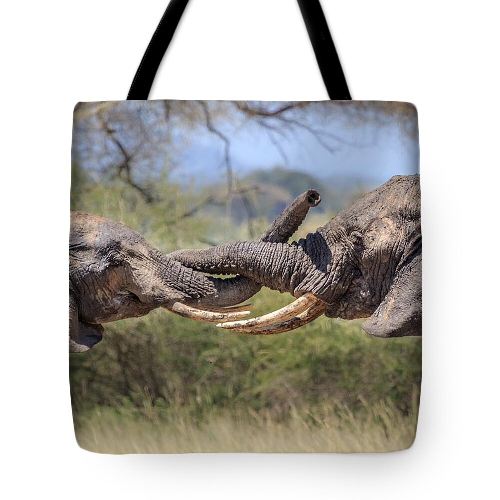 Africa Tote Bag featuring the photograph Elephant Arm Wrestling by Sylvia J Zarco