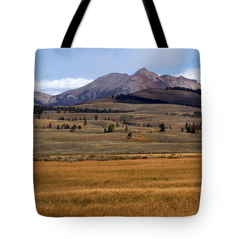 Yellowstone National Park Tote Bag featuring the photograph Electric Peak 2 by Marty Koch