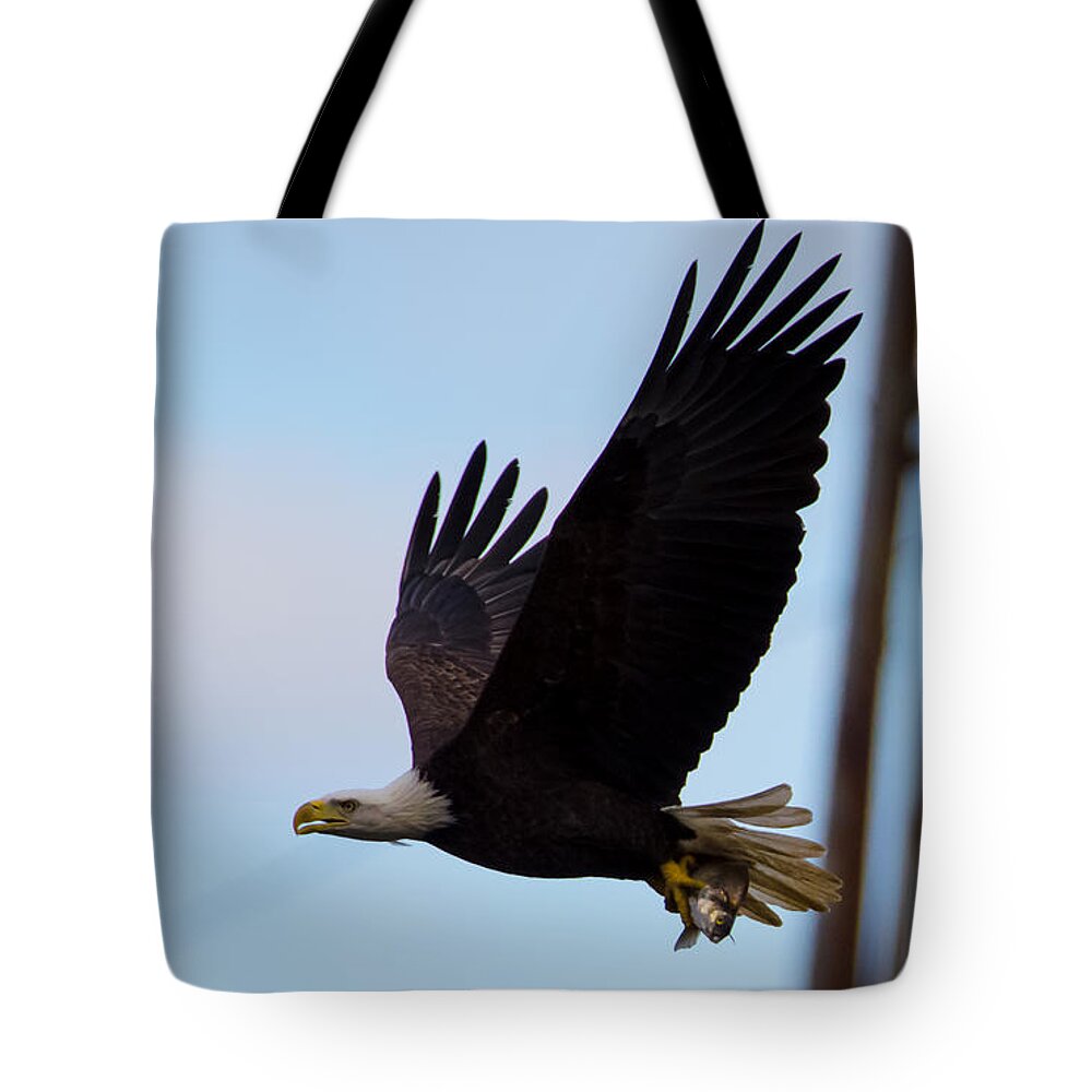 11nov15 Tote Bag featuring the photograph Electrifying Eagle with Fish by Jeff at JSJ Photography