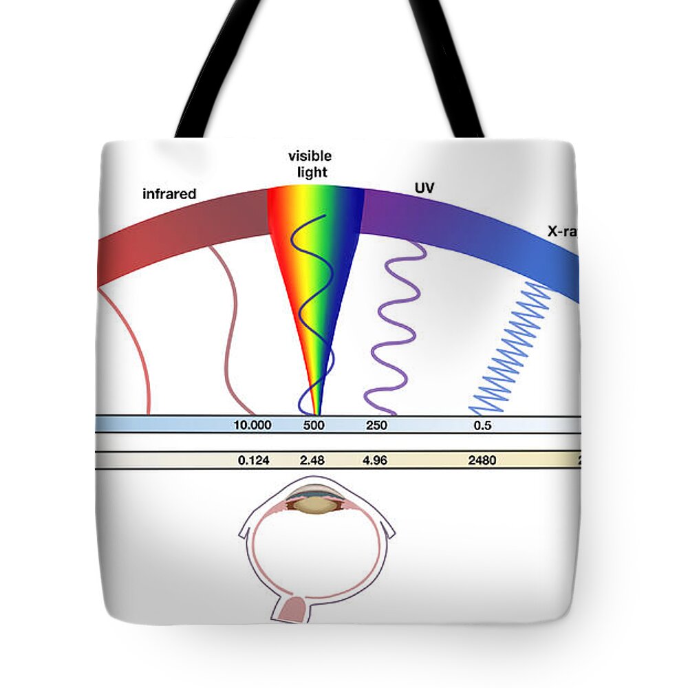 Electromagnetic Spectrum Tote Bag featuring the photograph Electromagnetic Spectrum by Spencer Sutton