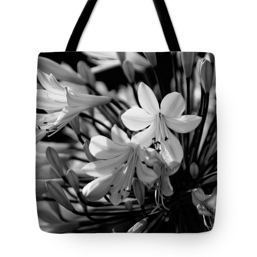 Flower Tote Bag featuring the photograph Elegance - bw by Linda Shafer