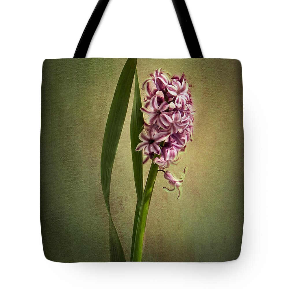Hyacinth Flower Tote Bag featuring the photograph Elegance by Marina Kojukhova