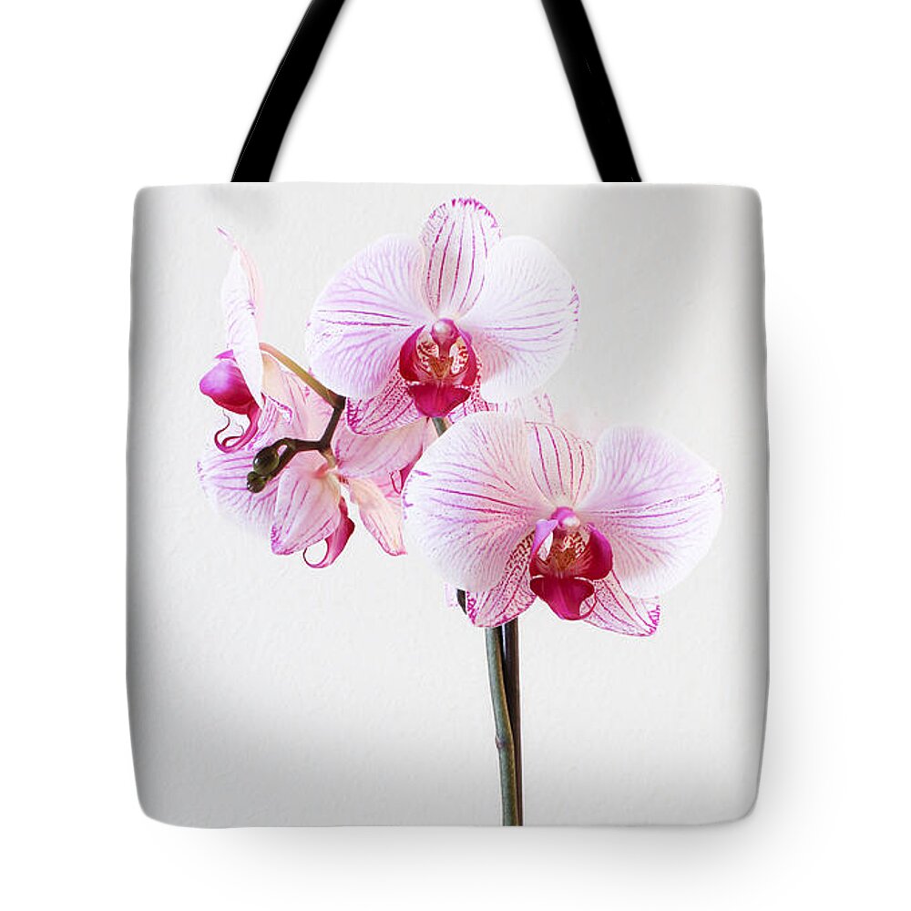 Flowers Tote Bag featuring the photograph Elegant Orchid by Anita Oakley