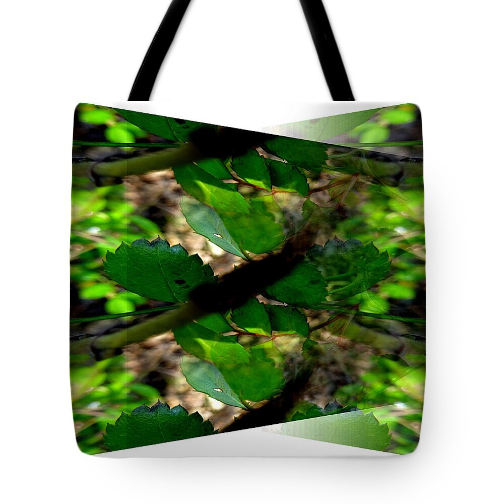Photos Art Landscapes Tote Bag featuring the photograph Elements 118 by The Lovelock experience