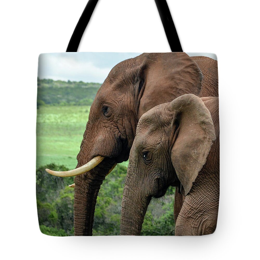 Elephants Tote Bag featuring the photograph Elephant couple profile by Gaelyn Olmsted