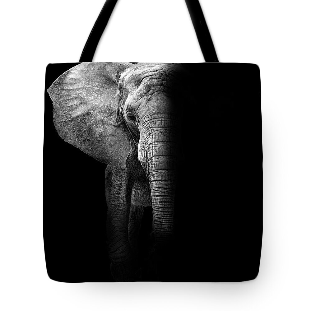 Elephant Tote Bag featuring the photograph Elephant by Deborah Penland