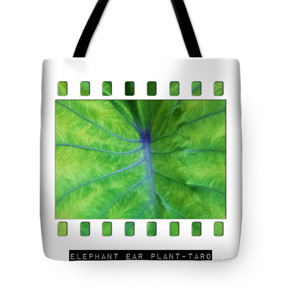 Elephant Ear Tote Bag featuring the photograph Elephant Ear Plant - Taro by Denise Beverly